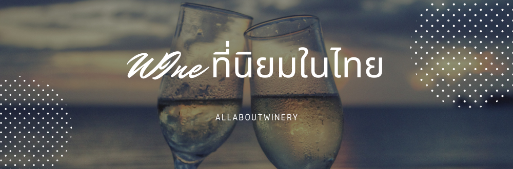 ไวน์ที่นิยมในไทย